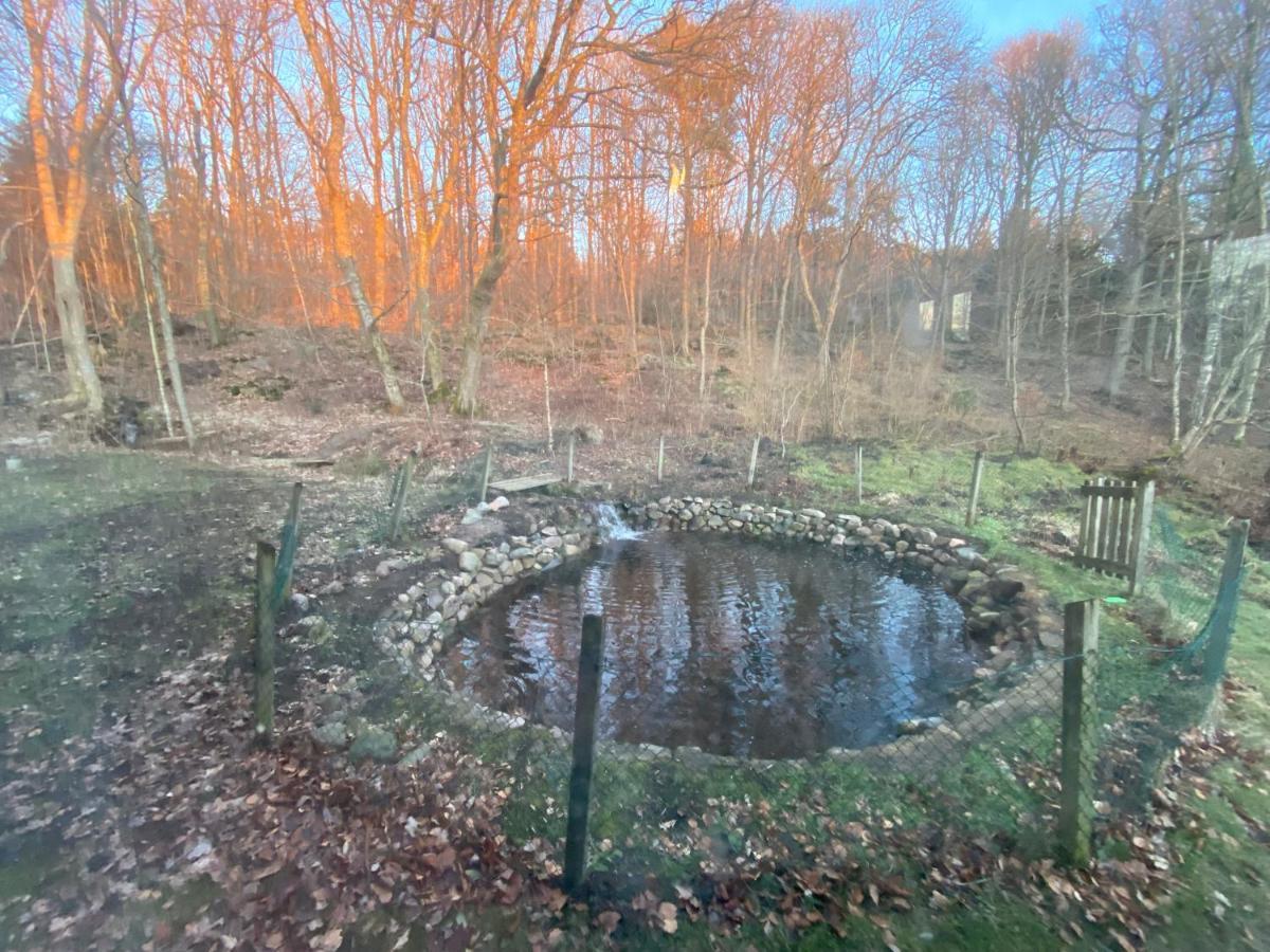 Prostens Bed & Breakfast Getinge Eksteriør billede